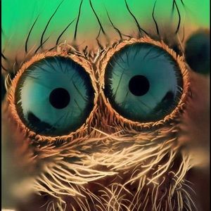 Meet your Posher, Holly